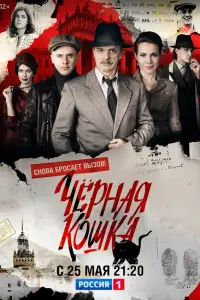 Чёрная кошка 